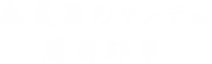 無農薬のサンチュ厳選野菜